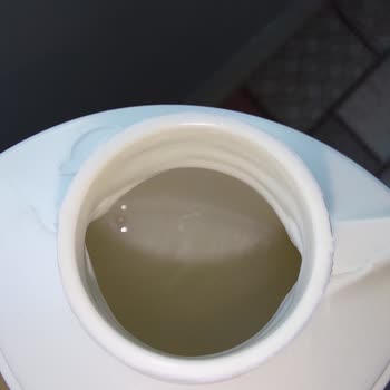 Pantene Şampuan Kutusu Boş