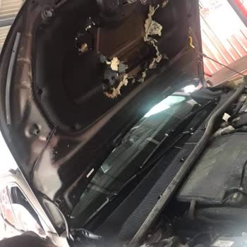 Peugeot 2008 Kaput İzolatörü