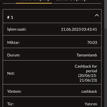 Yatırım İşlemleri Casibom Hesabıma Geçmedi 5 Saat Oldu