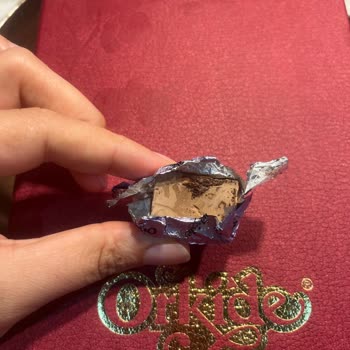 Orkide Pastanesi Çikolatada Kurt Çıkması