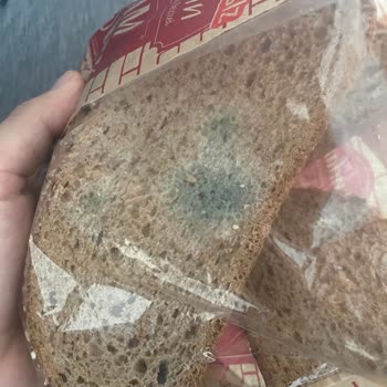 Uno Ekmek Ekmeğimden Küf Çıktı