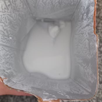 Baltalı Keçi Sütünün Kesilmesi