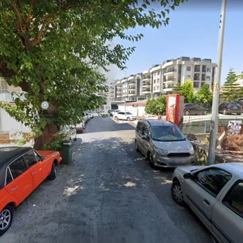 Alanya Belediyesi Sinek İçin İlaçlama Yapmıyor