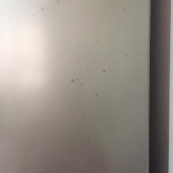 Altus Nofrost Buzdolabımın Alt Kapağında Lekeler Var