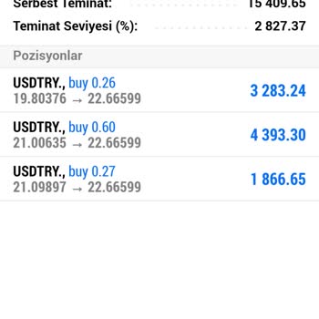 First Global Fx Sorun Yaşama