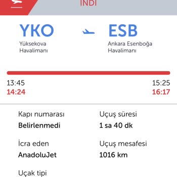 THY Uçuş Saatlerine Uyulmaması Ve Zararın Karşılanmaması