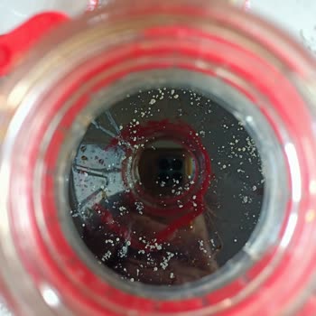 Öncü Nar Ekşisi Sosu Üzeri Küf Oldu