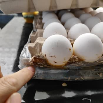 Migros Bayat Ve Kurtlu Yumurta Satıyor