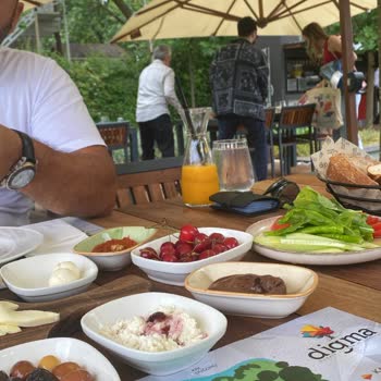 Digma Hüsrana Uğramak Maalesef