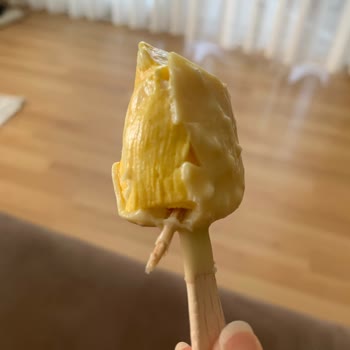 Algida Magnum Double'un İçinde Tahta Parçası!