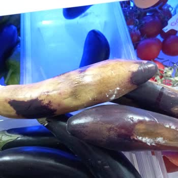 Beko 683721el Buzdolabı Sebze Ve Meyvelerimizi 3.4 Günde Bozuyor