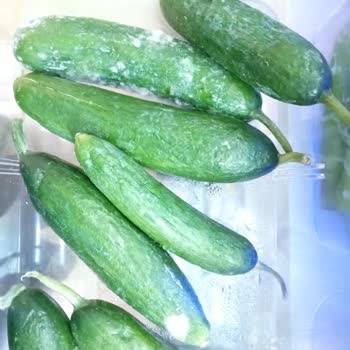 Beko 683721el Buzdolabı Sebze Ve Meyvelerimizi 3.4 Günde Bozuyor