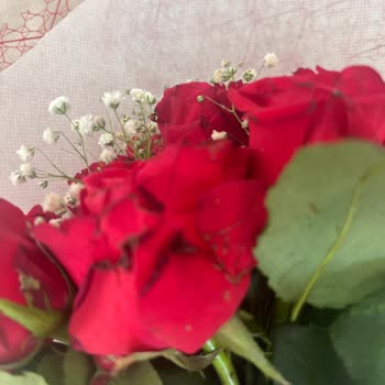 Çiçek Sepeti Ölü Çiçek