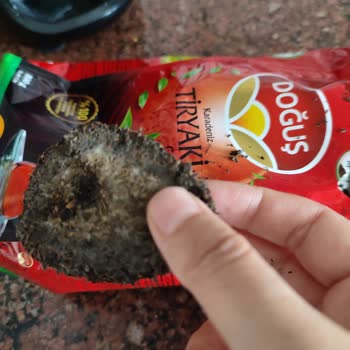 Doğuş Çaydan Küf Çıktı!