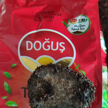 Doğuş Çaydan Küf Çıktı!