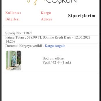 Şeyma Coşkun Dönüş Yapılmıyor Yardımcı Olan Yok