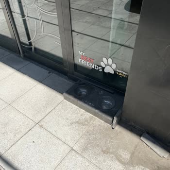 Koton Boş Su Kapları