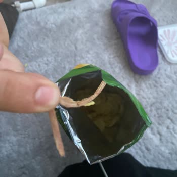 Lays Cipsten Çıkan Cisim