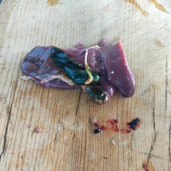 Lezita Tavuk CİĞERİ, Şok Market