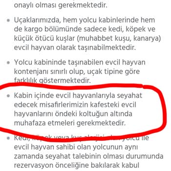 Anadolu Jet Evcil Hayvan Sorunu