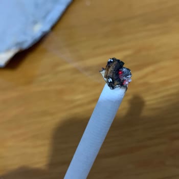 JTI Odun Parçası Çıktı