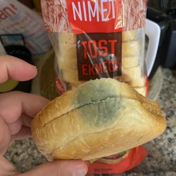 A101 Küflü Tost Ekmeği