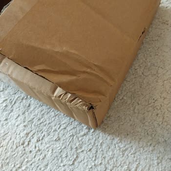 Porland's Mother's Day Sale Gone Wrong