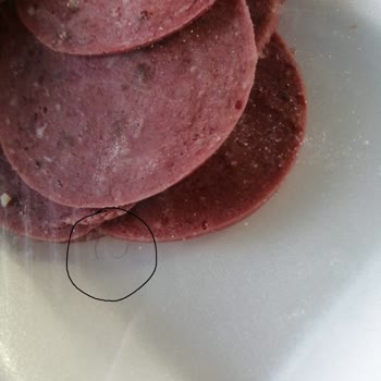 Aybimaş Tanzim İnsan Sağlığı