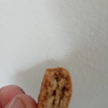ebebek Bebek Bisküvisinden Kıl Çıkmıştır