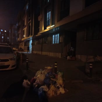 Eyüpsultan Belediyesi Çöp Sorunu! Mahallemiz Ağır Koku Ve Atıklardan Oluşmaktadır!