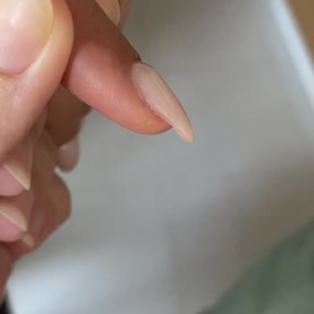 Cansay Nail Beauty Sterillik Sıfır, Saygı Yok!