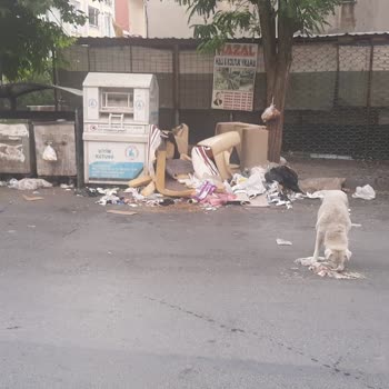 Esenyurt Belediyesi Temizlik Ve Çöp Konteyner Sorunları