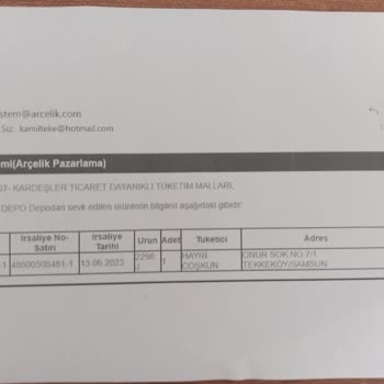 Borusan Lojistik Ürünümü Neden Geciktirdi