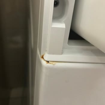 Bosch 1 Yıllık Çamaşır Makinesi Paslanması