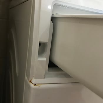 Bosch 1 Yıllık Çamaşır Makinesi Paslanması