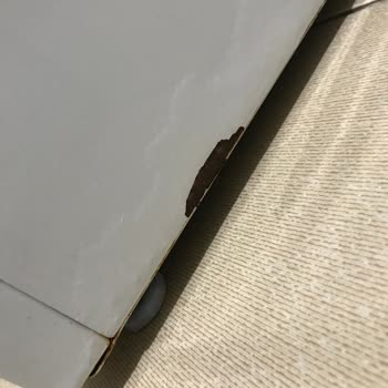 Bosch 1 Yıllık Çamaşır Makinesi Paslanması