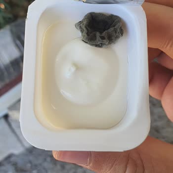 Torku Krempare Üzerindeki Şey!