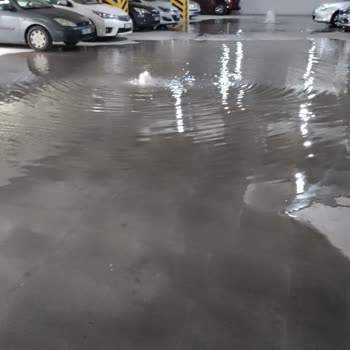 Emlak Yönetim İlgisiz Saçma Cevapları