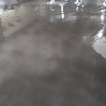 Emlak Yönetim İlgisiz Saçma Cevapları