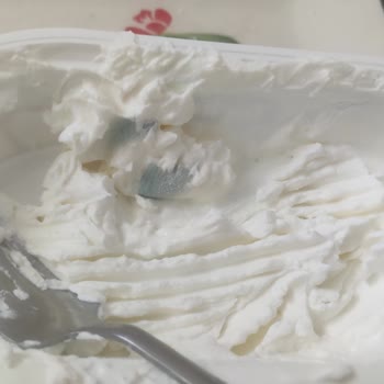 Yine Torku Yine Küflü Peynir
