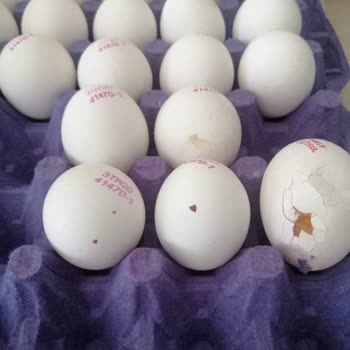 BİM Bili Bili Marka Kırık Yumurtalar