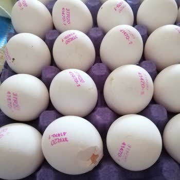 BİM Bili Bili Marka Kırık Yumurtalar