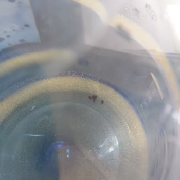 Damla Su İçinde Siyah Bir Şeyler Var!