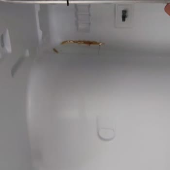 Arçelik Buzdolabı İç Duvar Çatlağı