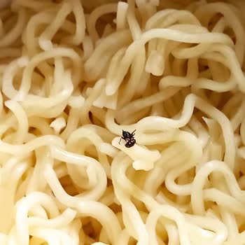 Dudomi Tavuklu Noodledan Böcek Çıktı