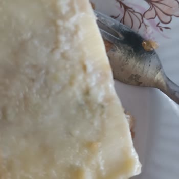 Tatbak Gıda Küflü Ürün Satılıyor