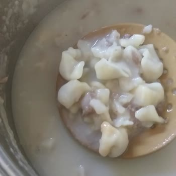 Paşa Çiftliği Sizden Aldığım Mantının Parçalanıp Bulamaç Haline Gelmesi