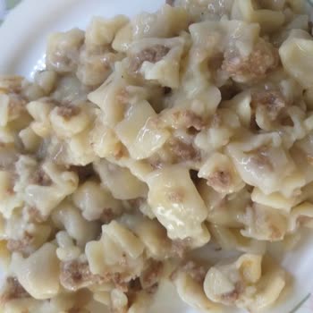 Paşa Çiftliği Sizden Aldığım Mantının Parçalanıp Bulamaç Haline Gelmesi