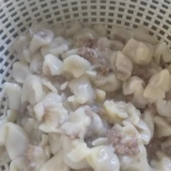 Paşa Çiftliği Sizden Aldığım Mantının Parçalanıp Bulamaç Haline Gelmesi