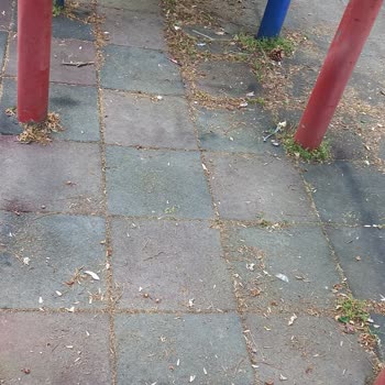 Eskişehir Tepebaşı Belediyesi Park Pis, Cam Kırıkları Var, Hem De Eksik Parçaları Var